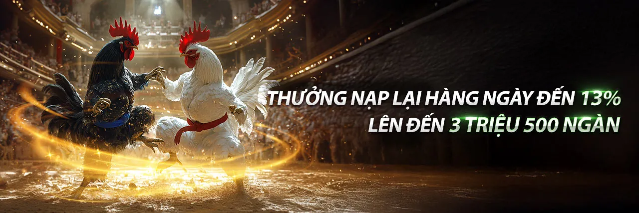 Đá Gà 8ket Casino Trực Tuyến Hấp Dẫn Nhất